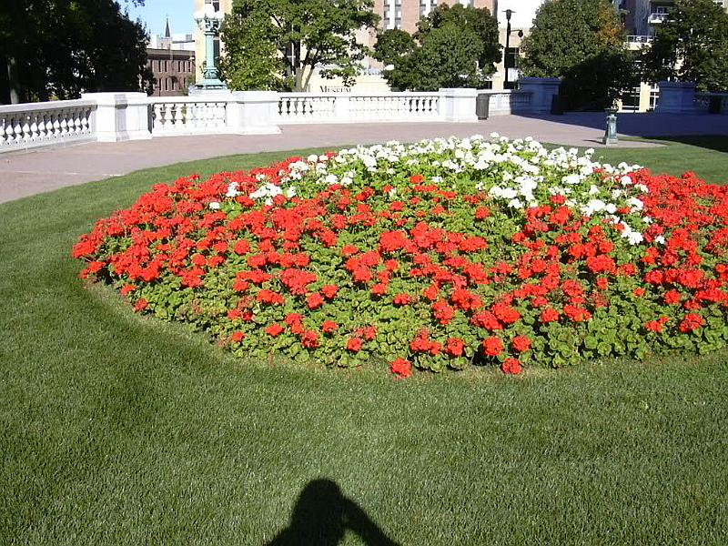 DSCN0017.JPG