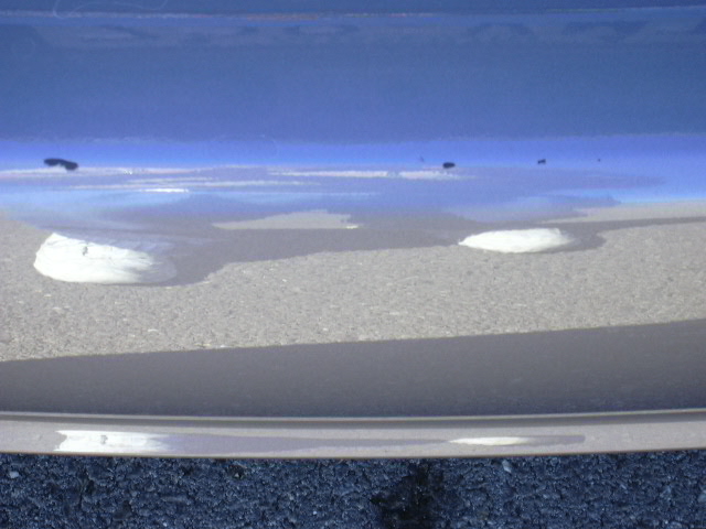 DSCN0073.JPG