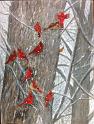 Cardinals_in_Snow