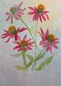 ConeFlowers3