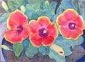 Flowers3a