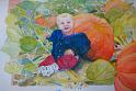 KylePumpkins