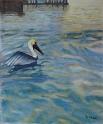 Pelican