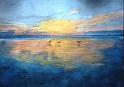 ShoreBirds2