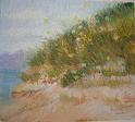 ShoreBluff