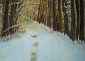 SnowyLane