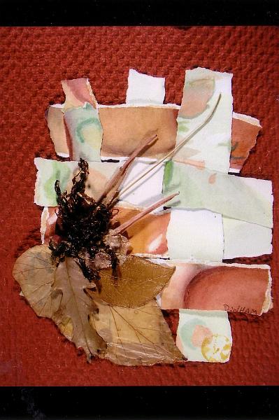 Collage0005.JPG