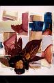 031408ART (3)